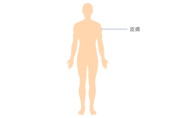 學生保險給付、勞保職災車禍、工地意外求償-皮膚傷害承辦案例